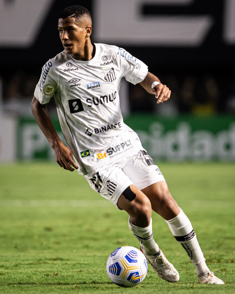 荷马的球迷 荷马的球迷