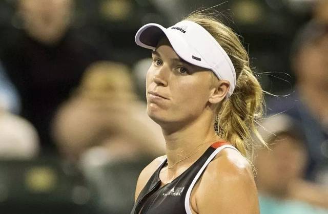 冬季运动领 冬季运动领