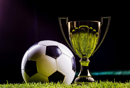 洲顶级赛事 洲顶级赛事