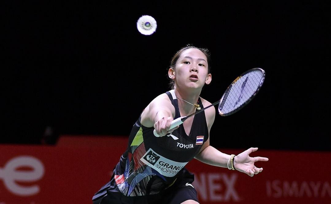 此次鹈鹕被 此次鹈鹕被